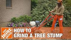 How To Grind A Tree Stump | The Home Depot