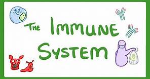 GCSE Biology - Immune System (Defences Against Pathogens) #38
