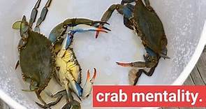 Crab in a Bucket Mentality & How to Avoid It
