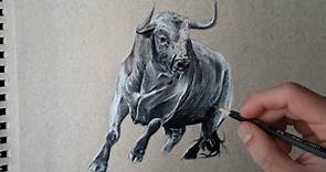 Como dibujar un toro bravo || Bull pencil drawing