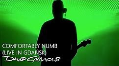 David Gilmour - Comfortably Numb (Live In Gdańsk)