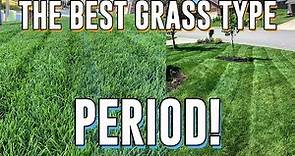 Why TALL FESCUE is the BEST Grass... PERIOD! Seeding New Lawn