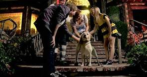 The Dog Who Saved Halloween | Trailer (2011) | Joey Lawrence, Dean Cain, Lance Henriksen