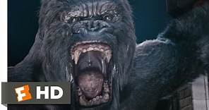 King Kong (6/10) Movie CLIP - Kong's Rampage (2005) HD