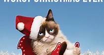 Grumpy Cat's Worst Christmas Ever streaming