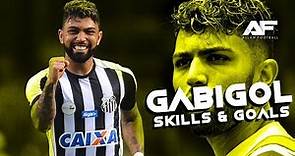 Gabriel Barbosa 2018 • Santos • Skills & Goals • HD