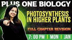 Plus One Biology | Photosynthesis in Higher Plants | Chapter 13 | Full Chapter |Exam Winner