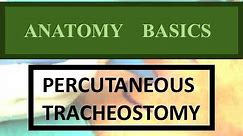Anatomy Basics of Percutaneous Tracheostomy