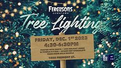 Fergusons Downtown Annual Tree Lighting