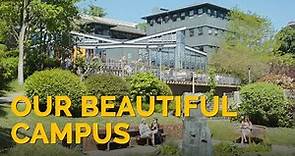 Our beautiful campus – University of Winchester