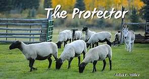 THE PROTECTOR - Message of Pastor John C. Miller for January 7, 2024