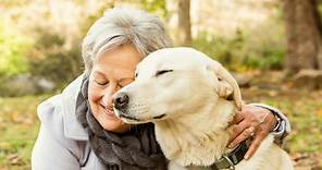8 Best Guard Dog Breeds for Elderly & Senior Owners