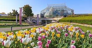 Welcome to Phipps Conservatory and Botanical Gardens