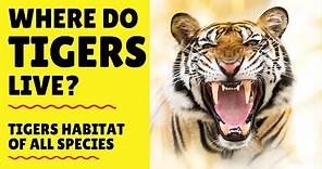 Where do Tigers Live - Tigers Habitat - Where are Tigers Found