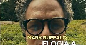 Mark Ruffalo elogia a Gustavo Petro por su discurso en la COP28 #noticias