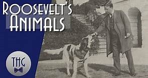 Theodore Roosevelt's Animals