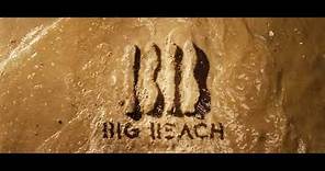 Big Beach Films (The Farewell)