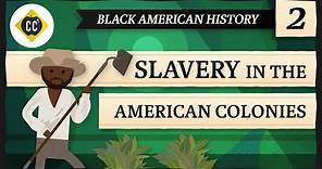 Slavery in the American Colonies: Crash Course Black American History #2