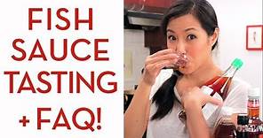 Ultimate Guide to FISH SAUCE - Hot Thai Kitchen
