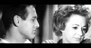 Trailer El buscavidas 1961