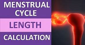 Menstrual Cycle Calendar Calculation Explained | Period Cycle Length Counting