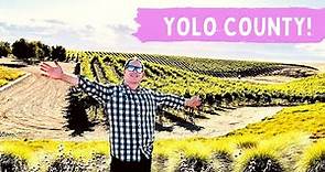 YOLOING in YOLO COUNTY! DAVIS CALIFORNIA TRAVEL GUIDE #travelvlog