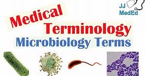 Medical Terminology - The Basics - Microbiology and Infectious Diseases Lesson