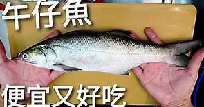 午仔魚熟成2日做三吃，去崁仔頂魚市買午仔，台灣午仔便宜又好吃，疫情期間大家一起加油。
