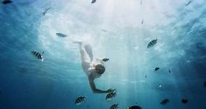 ¿Por qué se celebra el Día Mundial de los Océanos el 8 de junio?