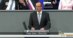 Peter Stein: Wirtschaft und Energie [Bundestag 24.11.2016]