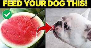 10 Human Foods That Are Actually Good For Your Dog
