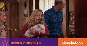 Nicky, Ricky, Dicky & Dawn | ¡Puerco en la casa! | Nickelodeon en Español