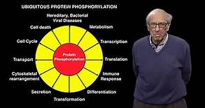 Edmond Fischer (U. Washington): Reversible Protein Phosphorylation as a Regulatory Mechanism