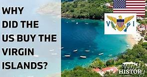 Why did the US buy the Virgin Islands?