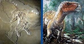 The Most Important Discoveries in Paleontology - Part 1