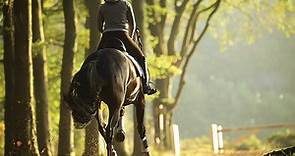 What are the health benefits of horse riding? Horse & Hound explains...