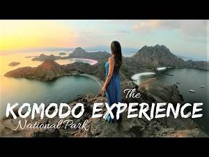 TRAVEL KOMODO NATIONAL PARK! Live on a boat! Pink Beach, Komodo Dragons, Padar, Indonesia!