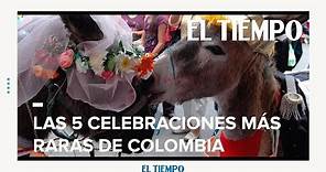 Las cinco celebraciones más raras de Colombia | EL TIEMPO | CEET