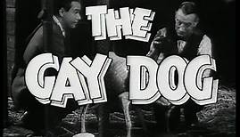 The Gay Dog | movie | 1954 | Official Trailer