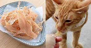 自製貓咪零食 - DIY香噴噴雞肉乾，我家貓超愛吃這個