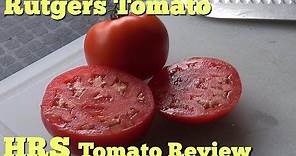 ⟹ Rutgers Tomato | Solanum lycopersicum | Tomato Review