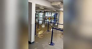 Exeter airport floods after torrential downpours, cancelling flights