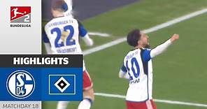 HSV With A Top Start | FC Schalke 04 - Hamburger SV 0-2 | Highlights | MD 18 - Bundesliga 2 2023/24
