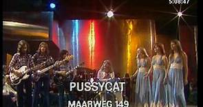 Pussycat - Smile (live)