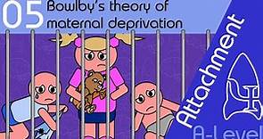Bowlby’s theory of maternal deprivation - Attachment [A-Level Psychology]