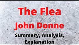 The Flea by John Donne | Summary, Analysis, Explanation