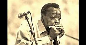 Buster Benton & Carey Bell-Born With the Blues