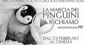 LA MARCIA DEI PINGUINI IL RICHIAMO - Dal 23 febbraio al cinema