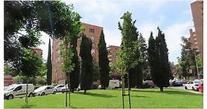 ¡Feliz Verano! Visitamos urbanización Saconia (Valdezarza - Madrid) y parque Dehesa de la Villa.