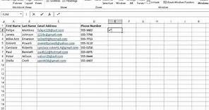 How Do I Add Area Codes to Phone Numbers in Excel? : MIcrosoft Excel Tips